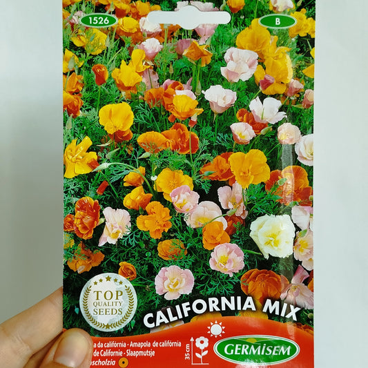 Amapola de California