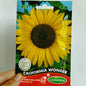 Semillas Flor Girasol