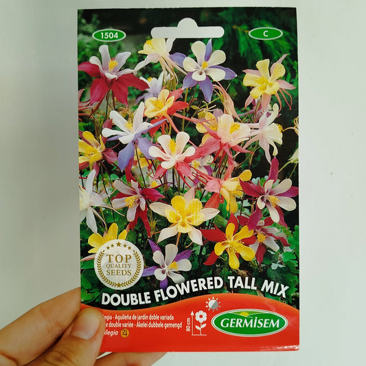 Semillas de flor de Aquilegia