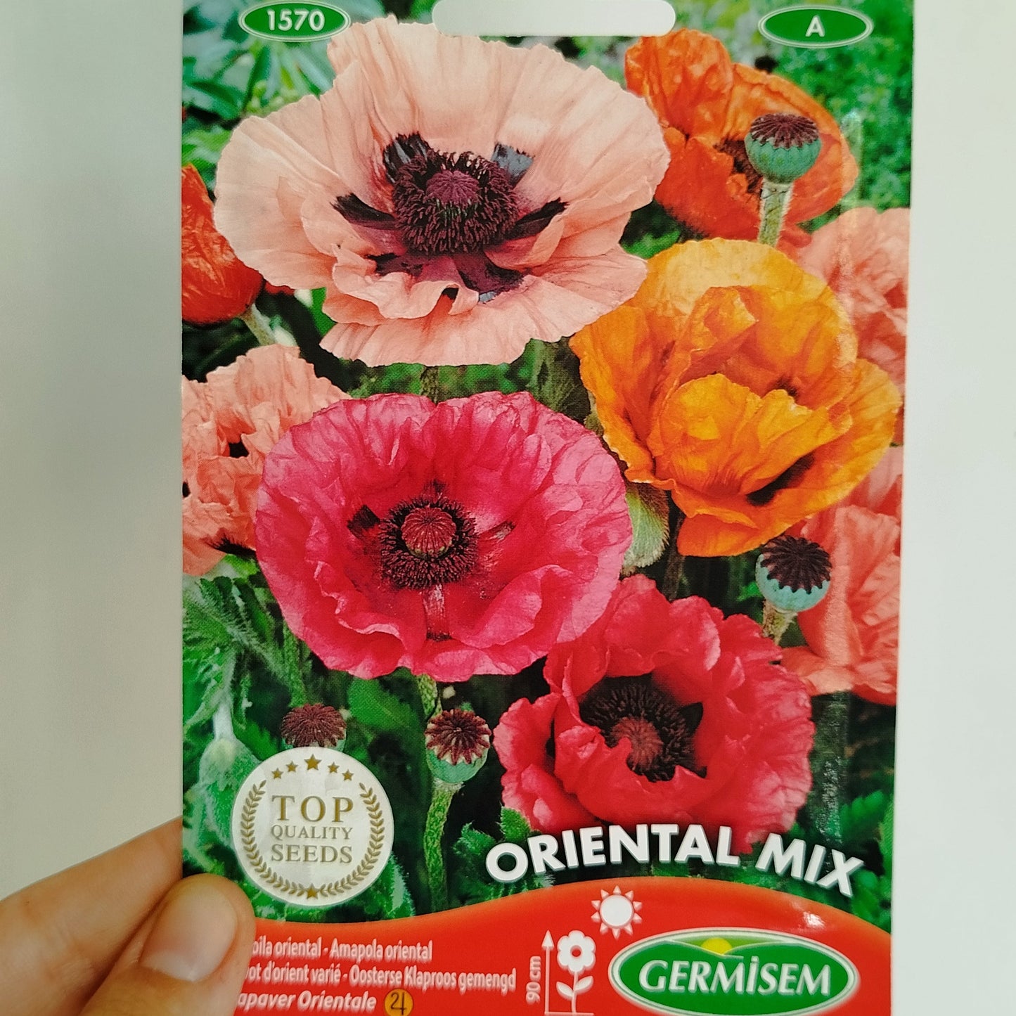 Semillas Amapola Oriental