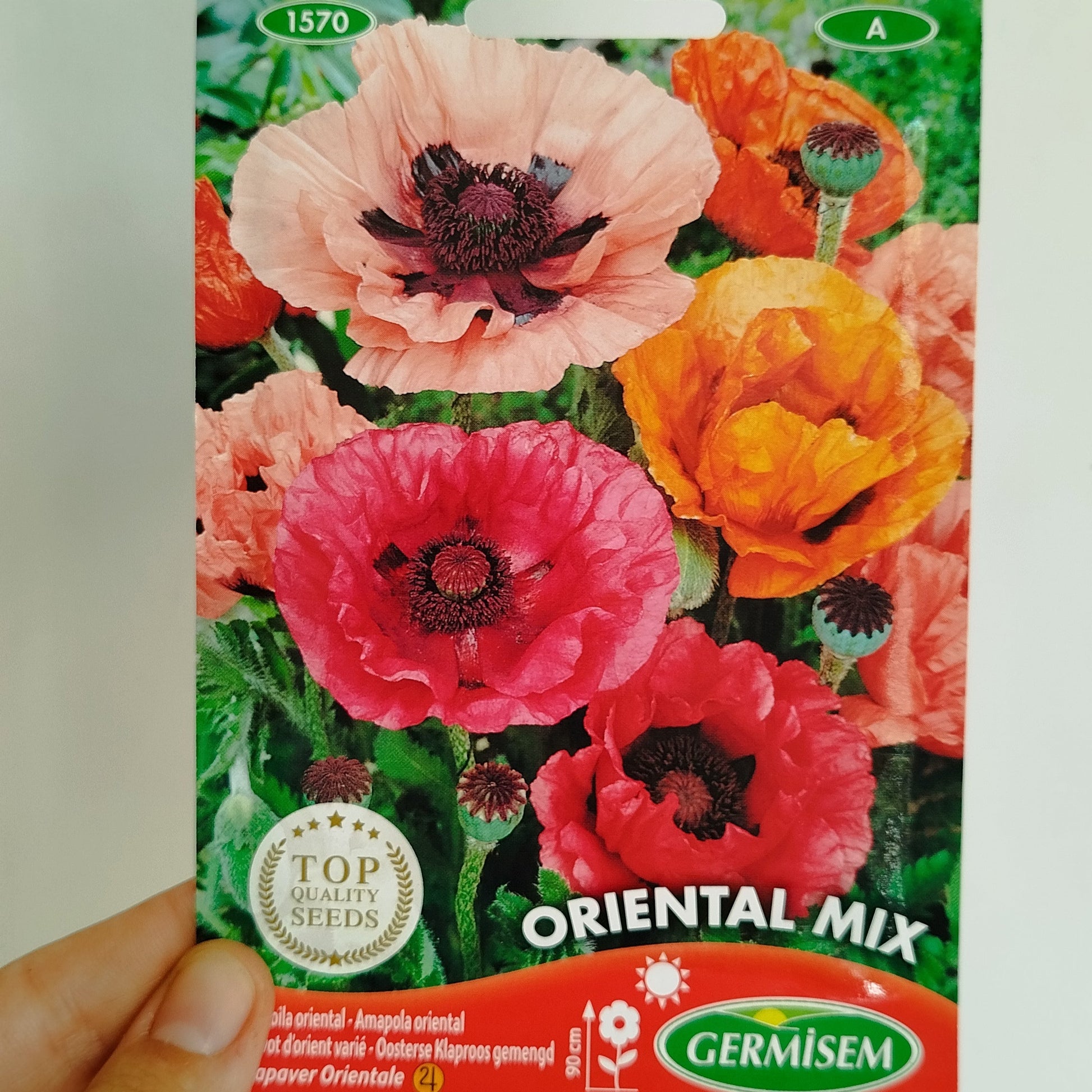 Semillas Amapola Oriental