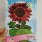 Semillas Girasol Rojo