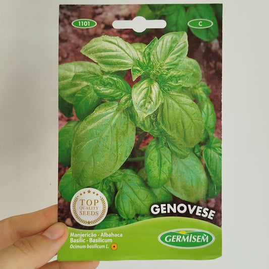 Semillas - Albahaca Genovese