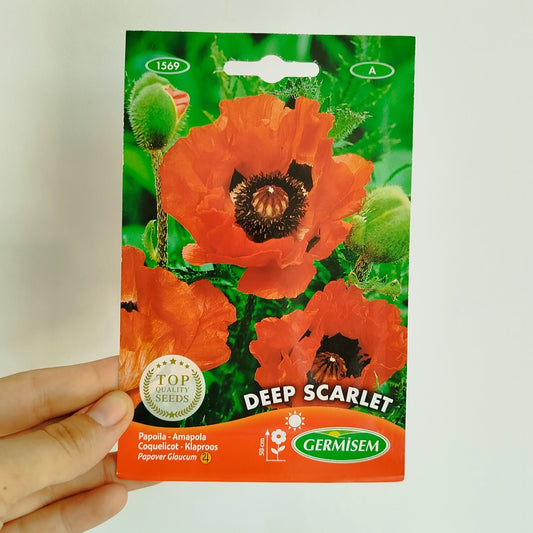 Semillas Amapola