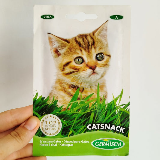 Semillas Hierba para Gato